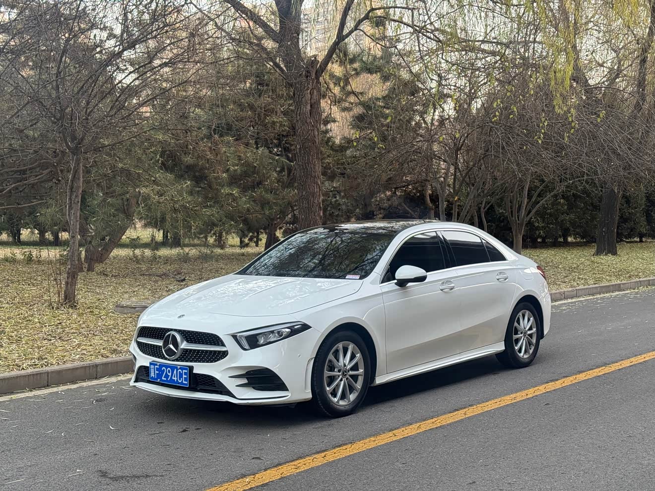 Mercedes-Benz A Class 2021 car image 
