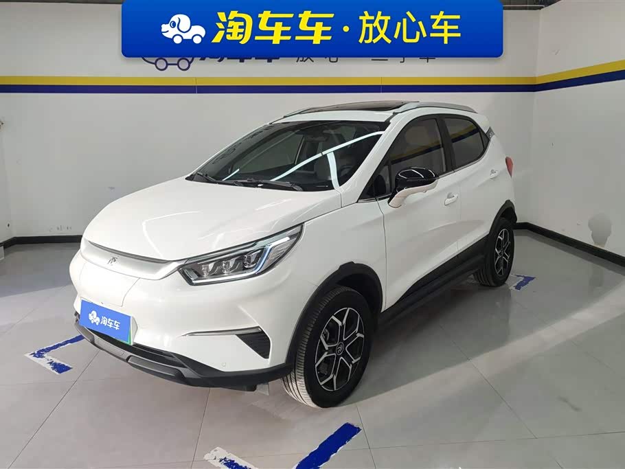 BYD Yuan Pro 2021 car image 