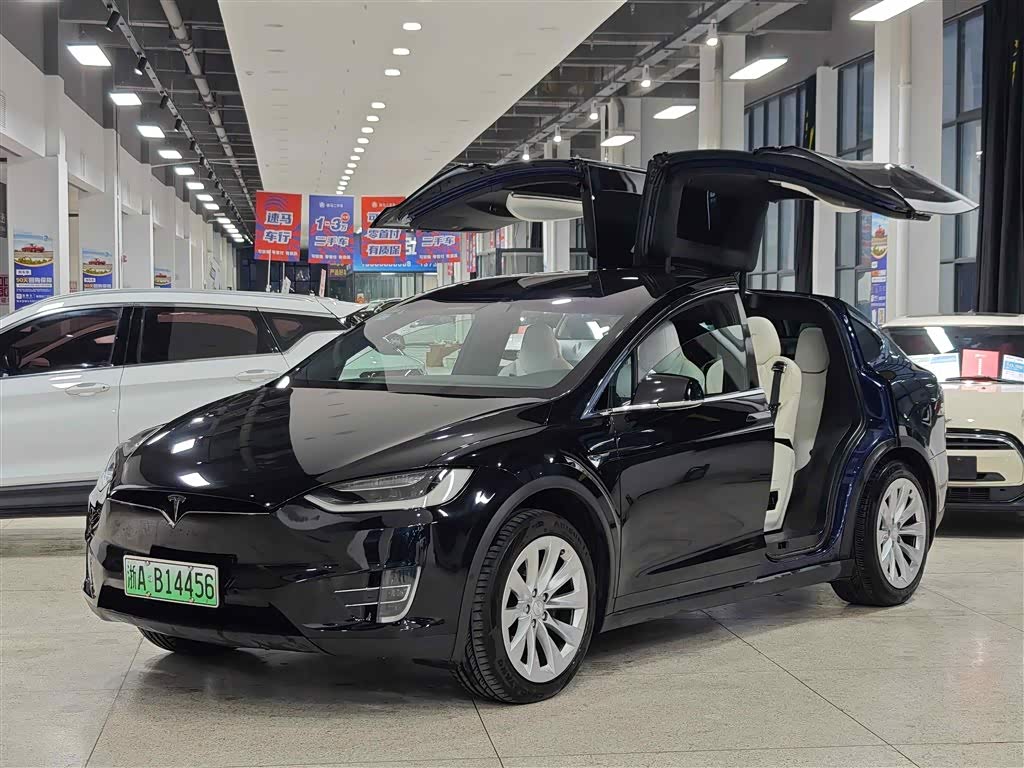 Tesla Model X 2017 汽车图片 