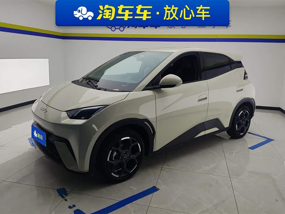 BYD Seagull 2024 car image 