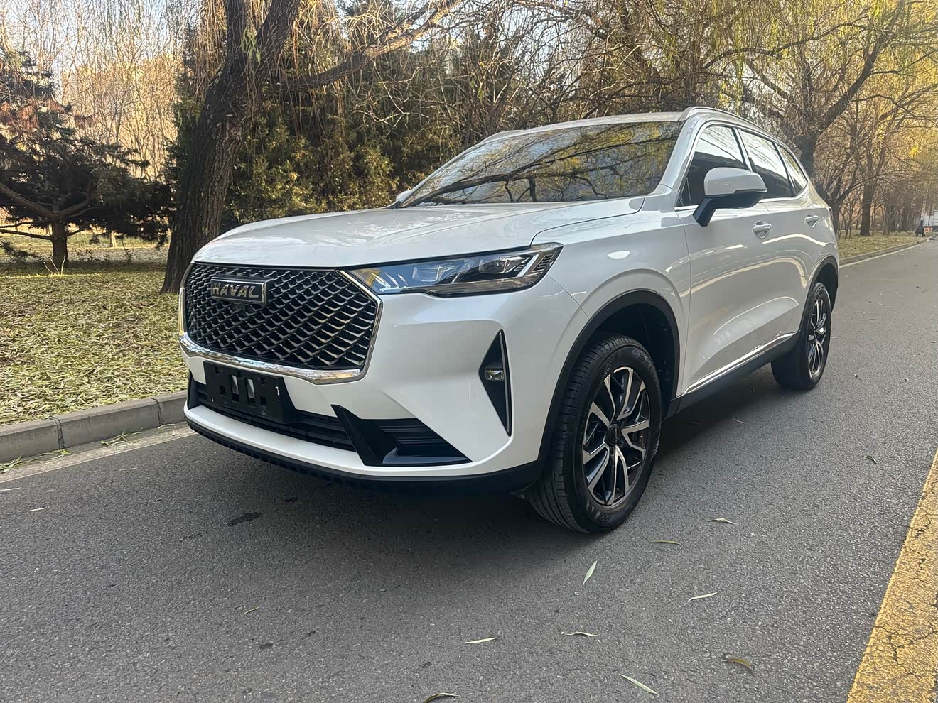 Haval 2022 car image 