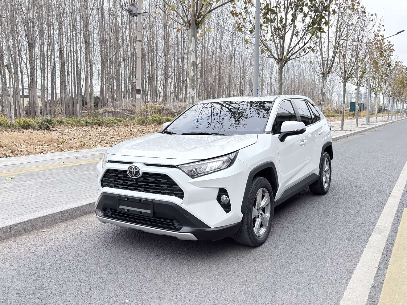Toyota RAV4 2022 car image 
