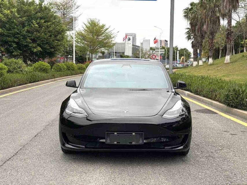 Tesla Model 3 2021 #5 Tesla Model 3 2021 car image #5