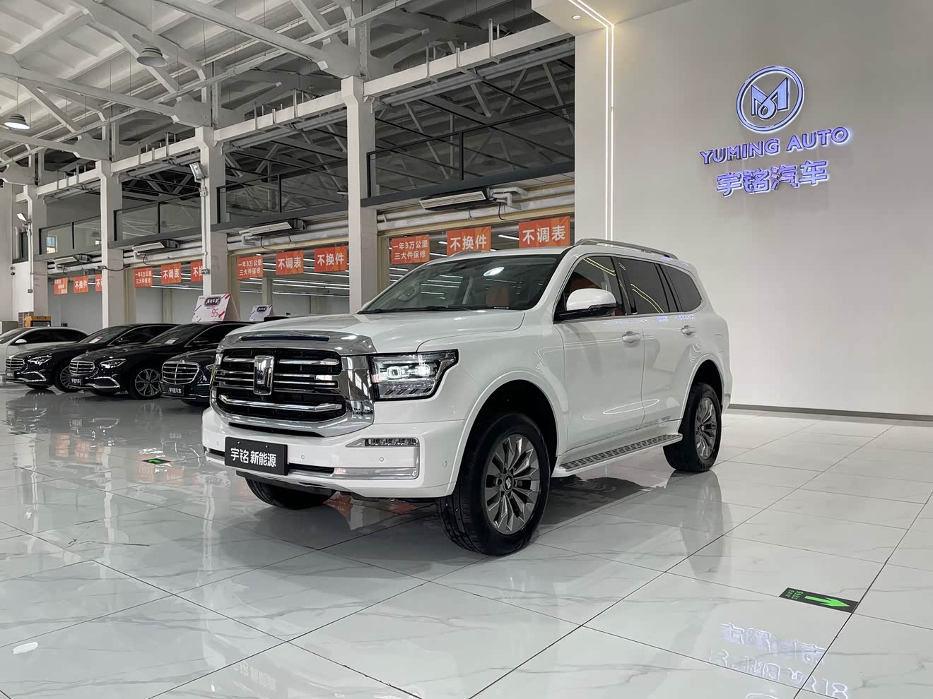 Tank 500 New Energy 2024 car image 