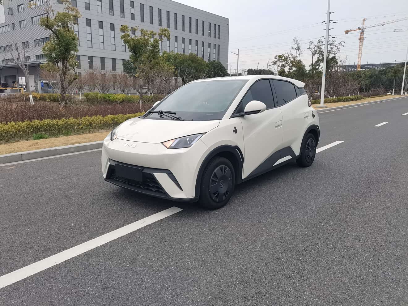 BYD Seagull 2024 car image 