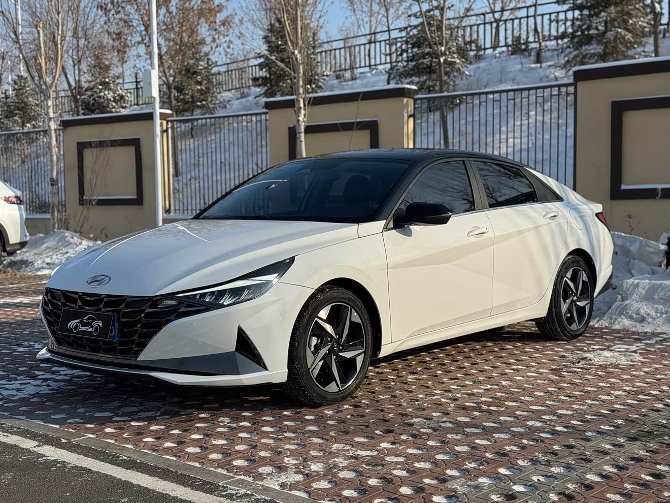Hyundai Elantra 2022 Hyundai Elantra 2022 car image