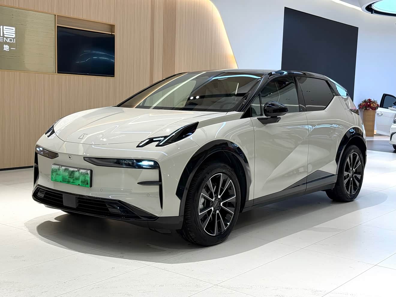 Zeekr X 2024 汽车图片 