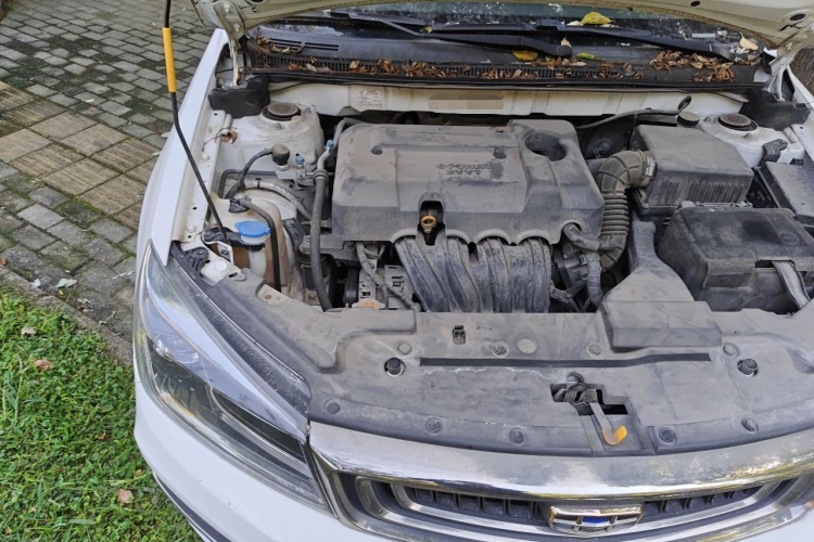 GEELY Emgrand 2019 car image #22
