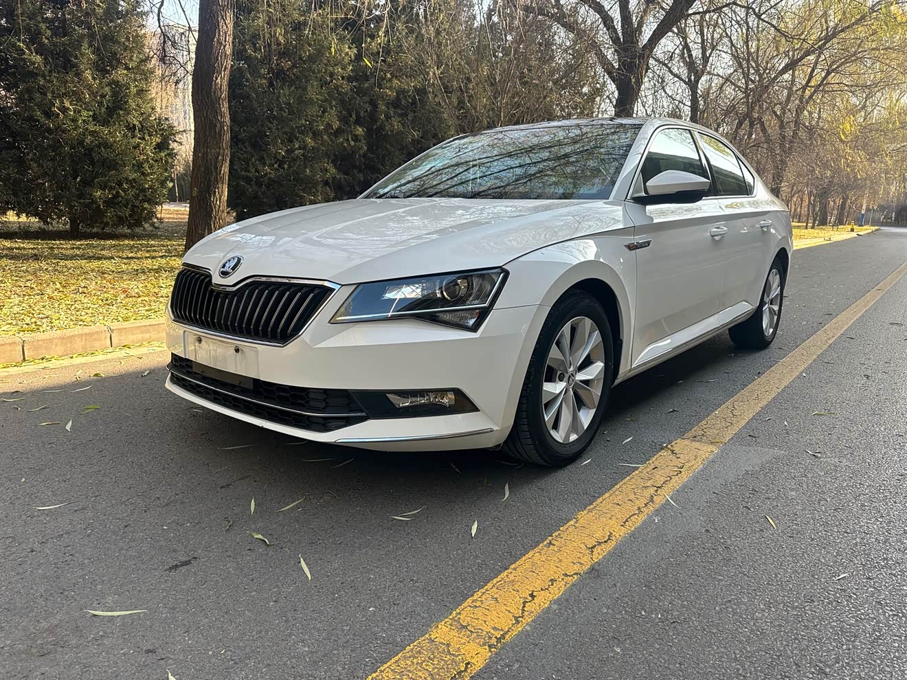 Skoda Superb 2017 汽车图片 