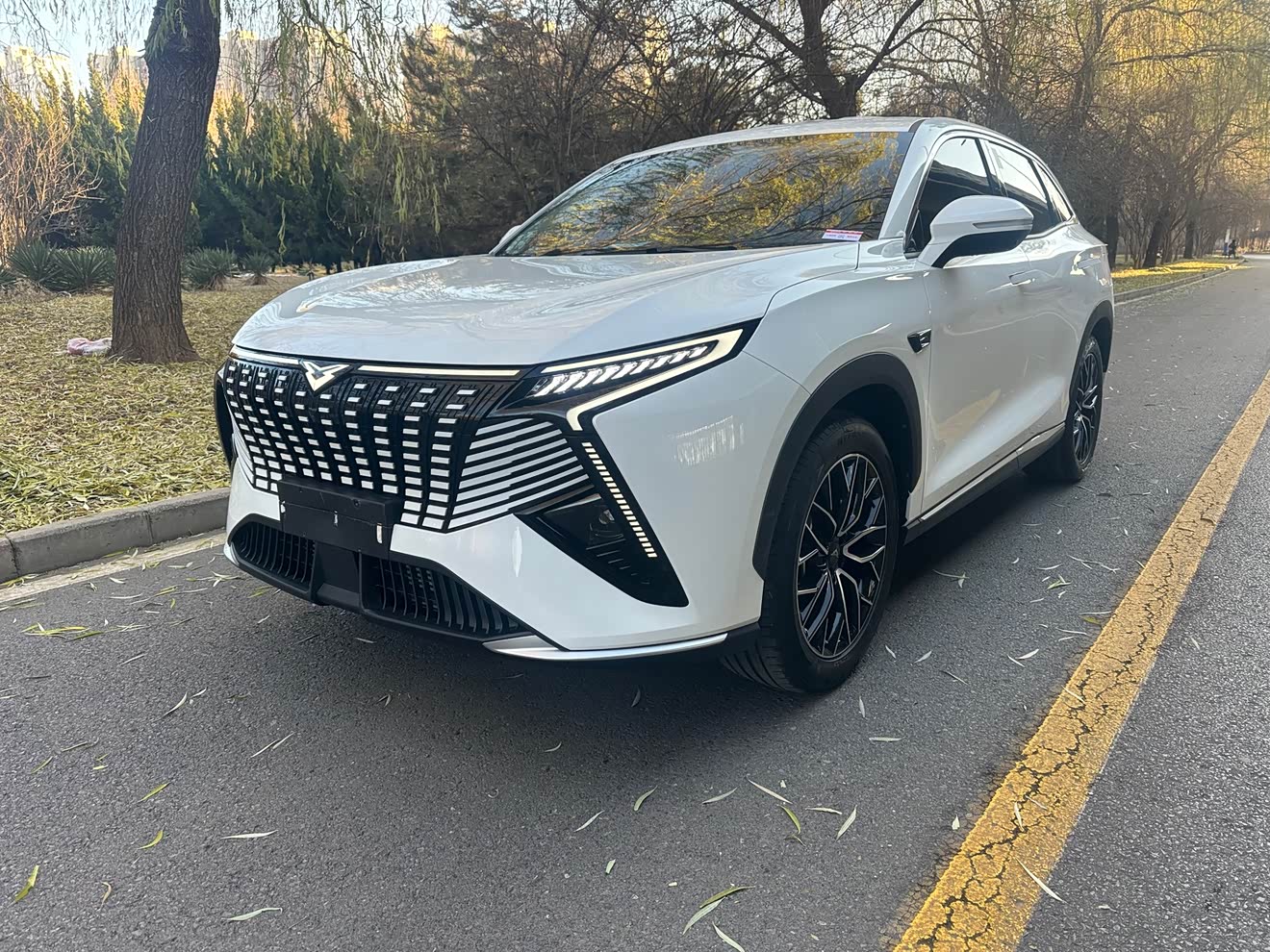 Kaiyi Kunlun New Energy 2024 car image 