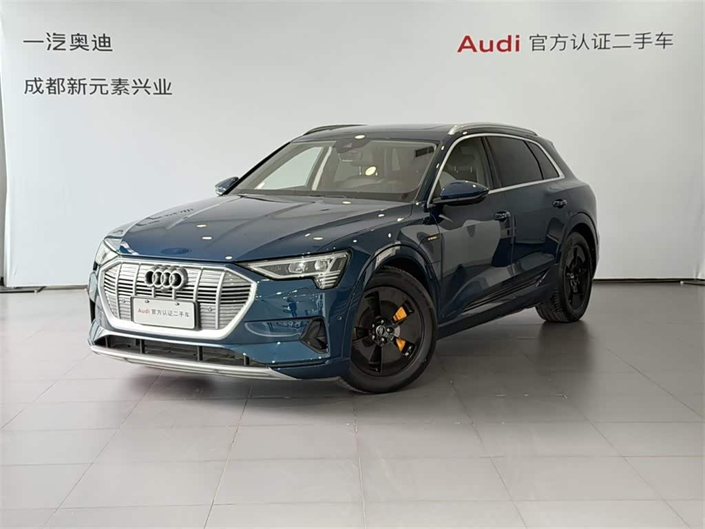 Audi e-tron (Imported) 2021 汽车图片 