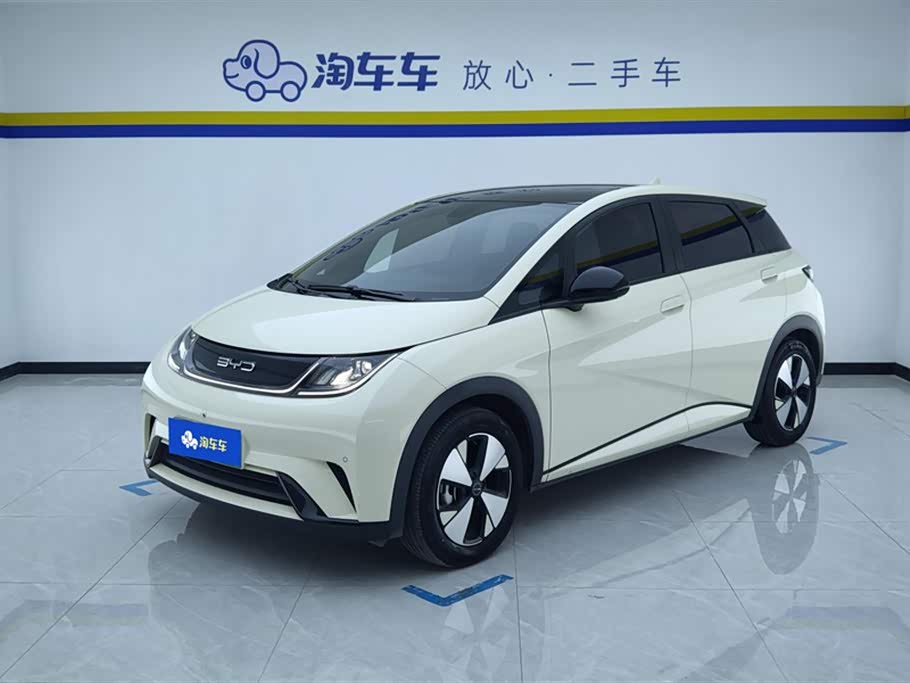 BYD Dolphin 2023 صورة سيارة 