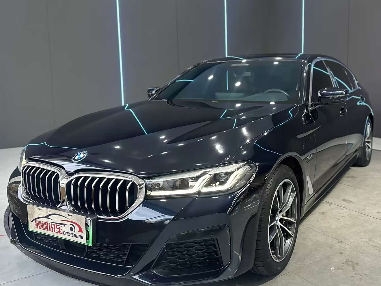 BMW 5 Series New Energy 2022 car image 