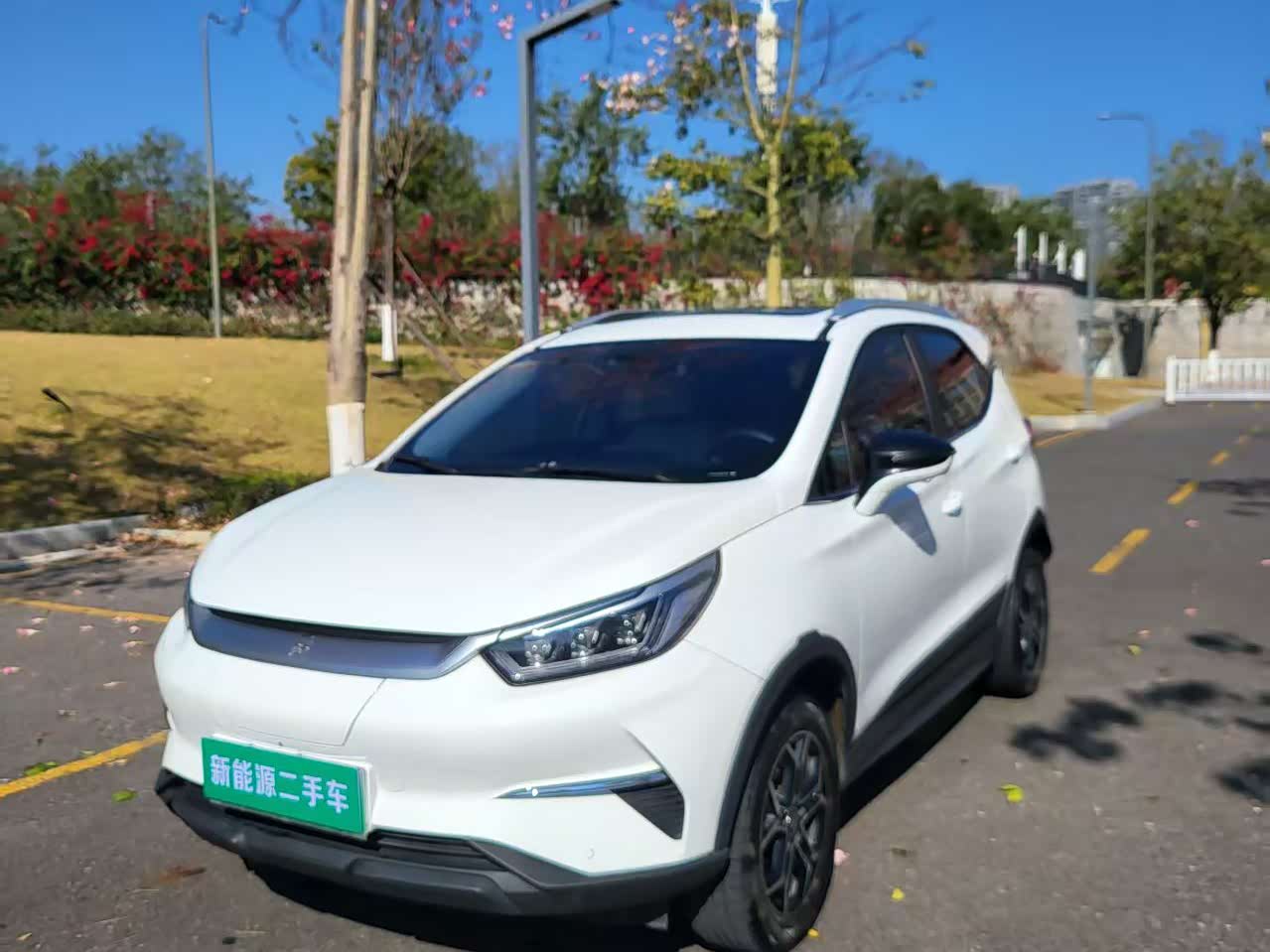 BYD Yuan Pro 2021 car image 