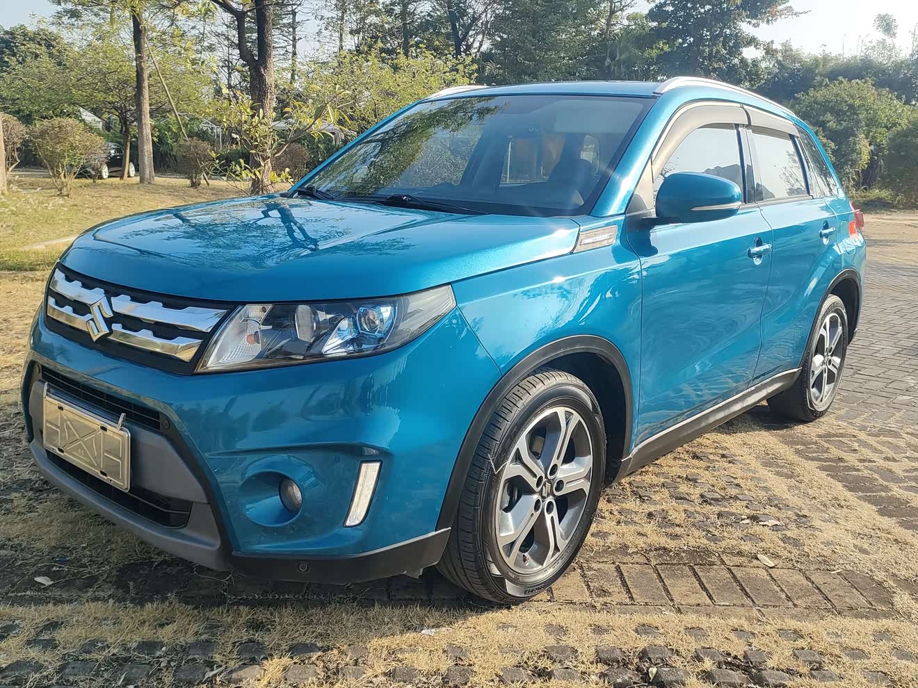 Suzuki Vitara 2017 Suzuki Vitara 2017 car image