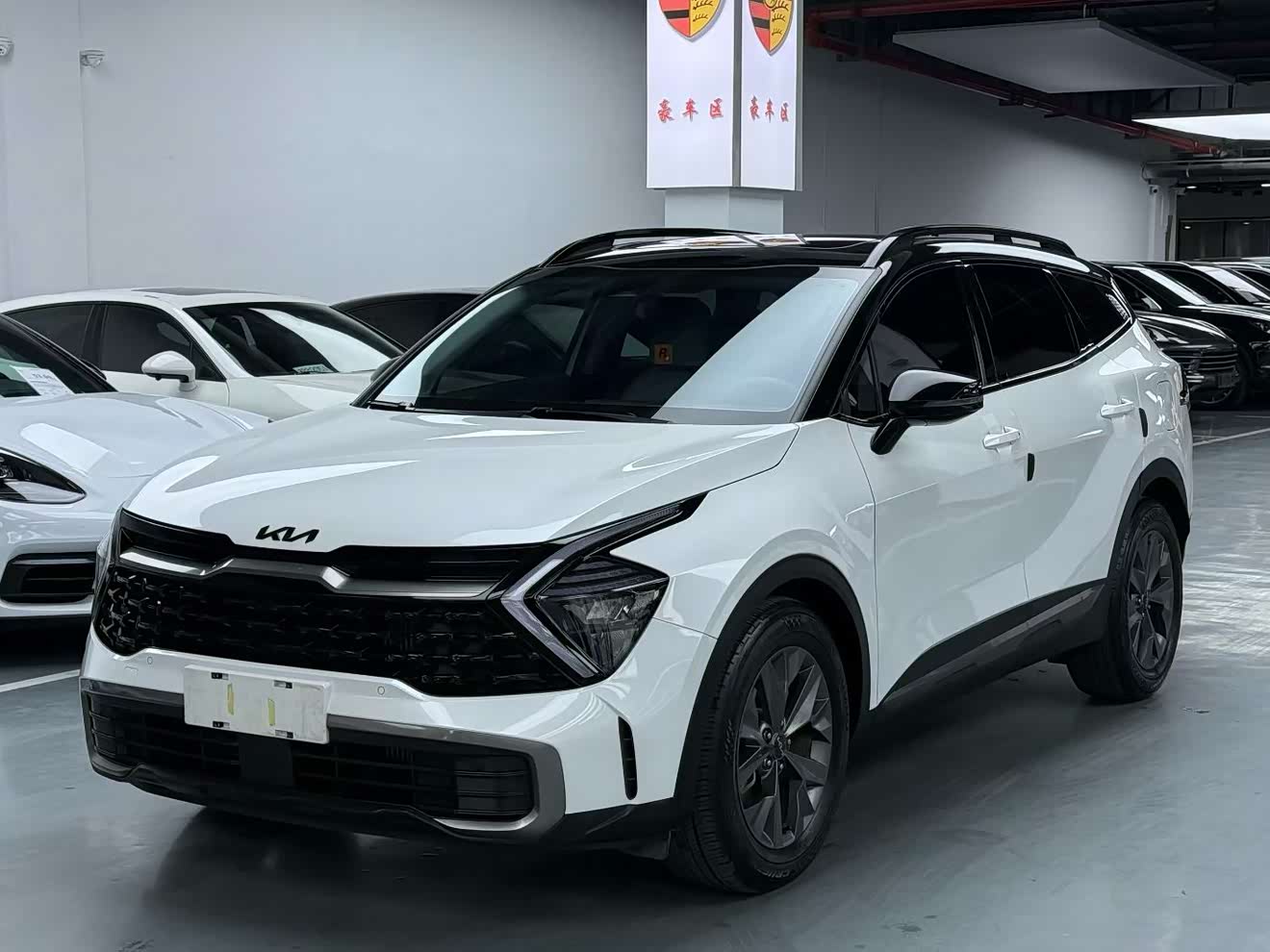 Kia Sportage 2024 car image 