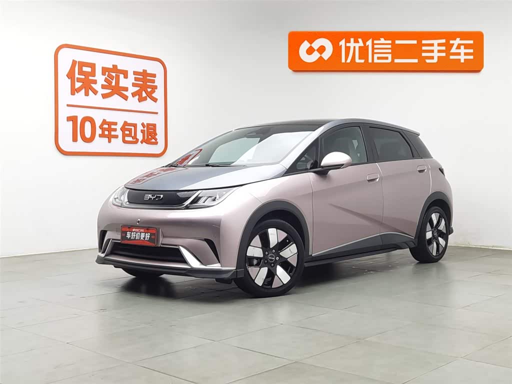 BYD Dolphin 2024 immagine di auto 