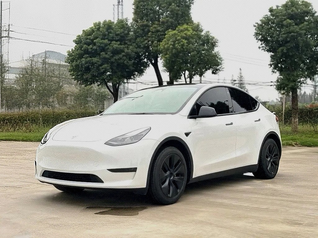Tesla Model Y 2024 Tesla Model Y 2024 car image