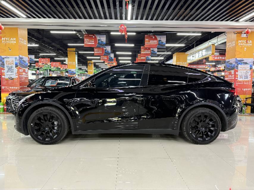 Tesla Model Y 2023 #7 Tesla Model Y 2023 car image #7