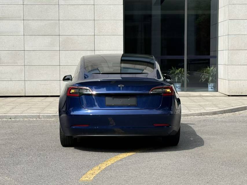 Tesla Model 3 2020 #10 Tesla Model 3 2020 car image #10