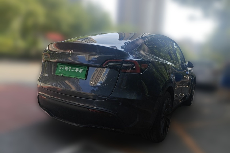 Tesla Model Y 2022 car image #7