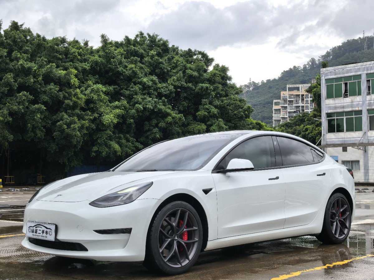 Tesla Model 3 2022 Tesla Model 3 2022 car image