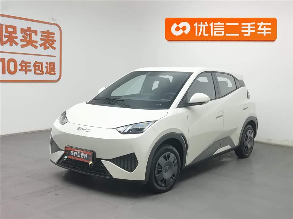 BYD Seagull 2025 car image 