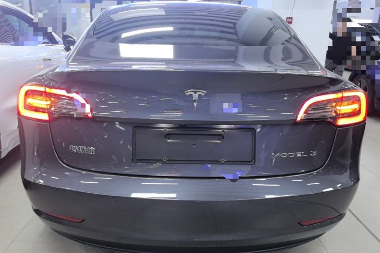 Tesla Model 3 2021 car image #6