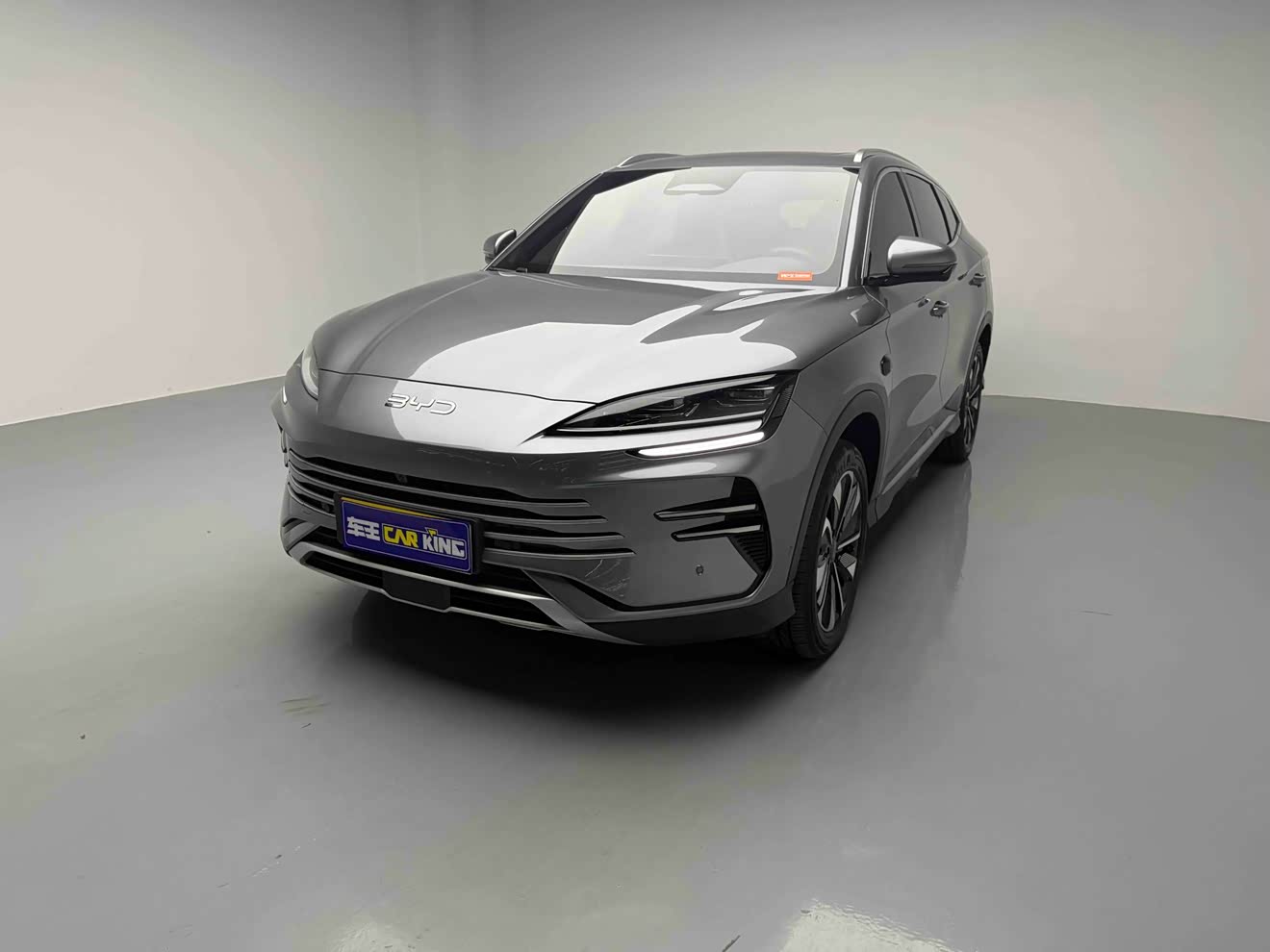 BYD Song Plus New Energy 2025 car image 