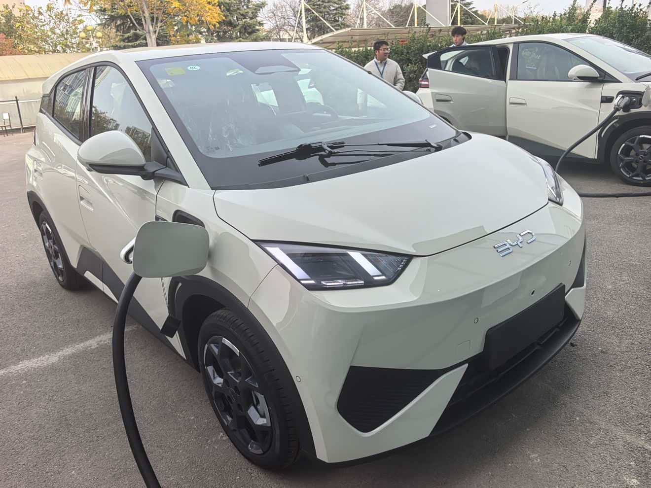 BYD Seagull 2025 car image 