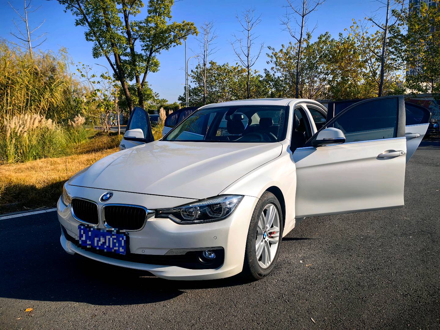 BMW 3 Series 2017 image de voiture #2
