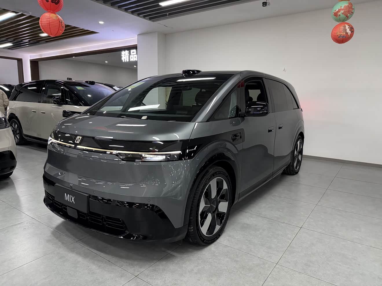 Zeekr MIX 汽车图片 