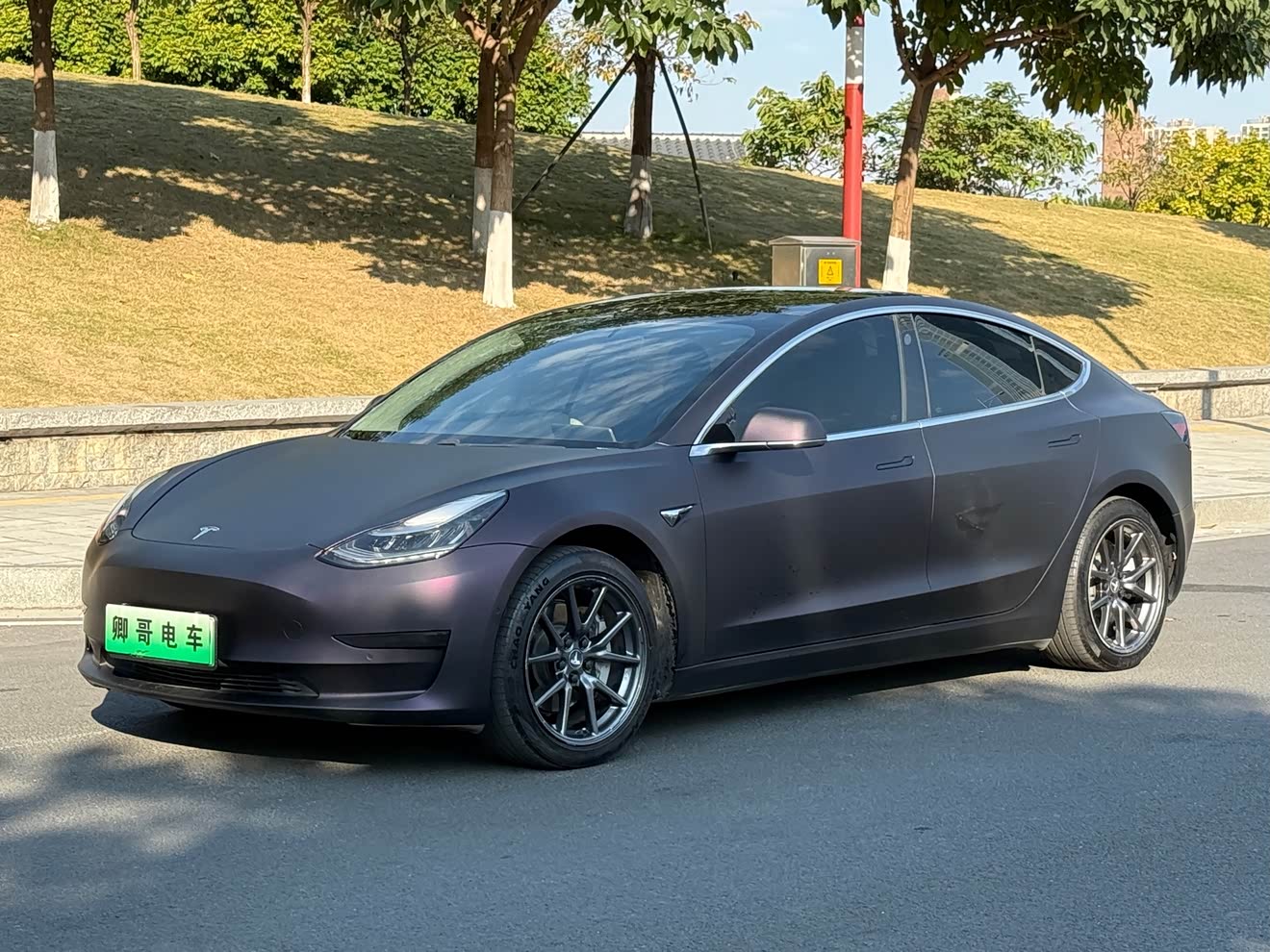 Tesla Model 3 2020 汽车图片 