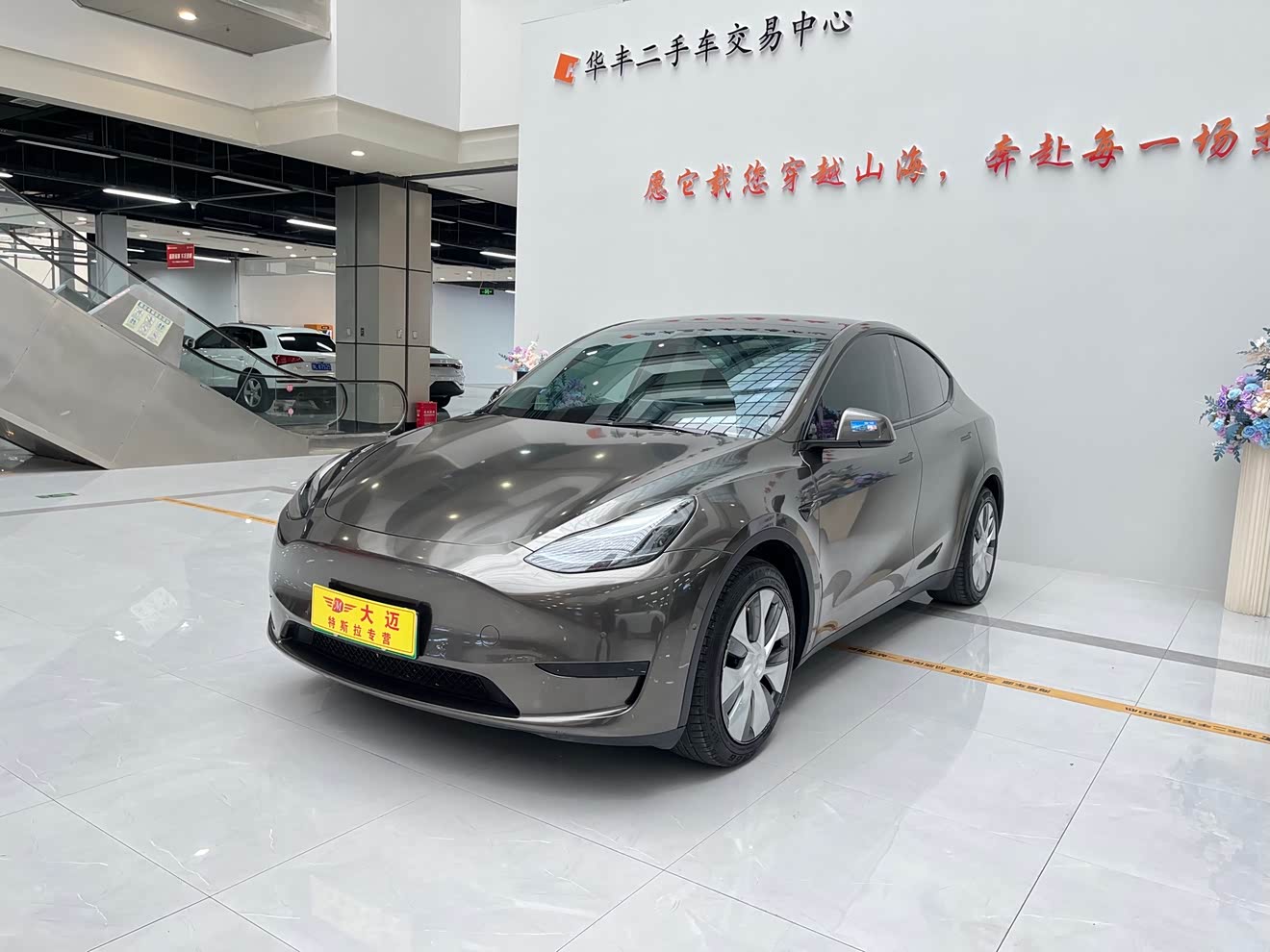 Tesla Model Y 2022 car image 