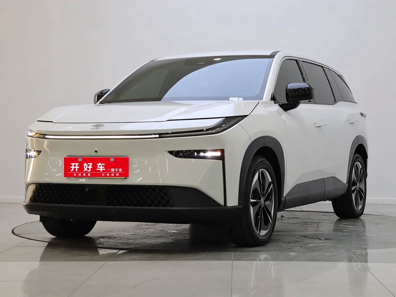 Toyota Bozhi 3X 2025 汽车图片 