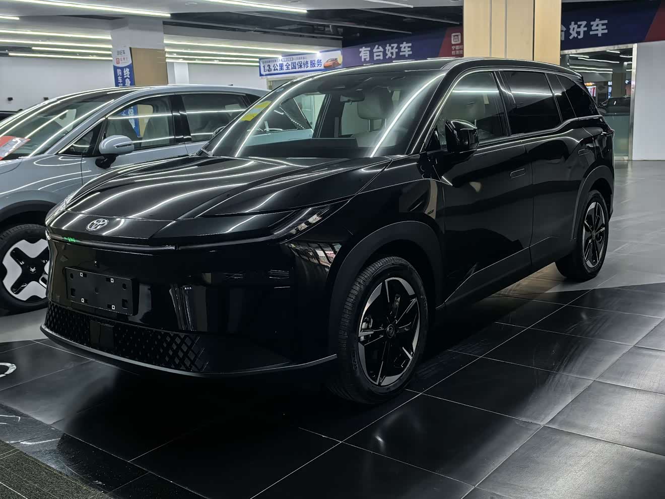 Toyota Bozhi 3X 2025 汽车图片 