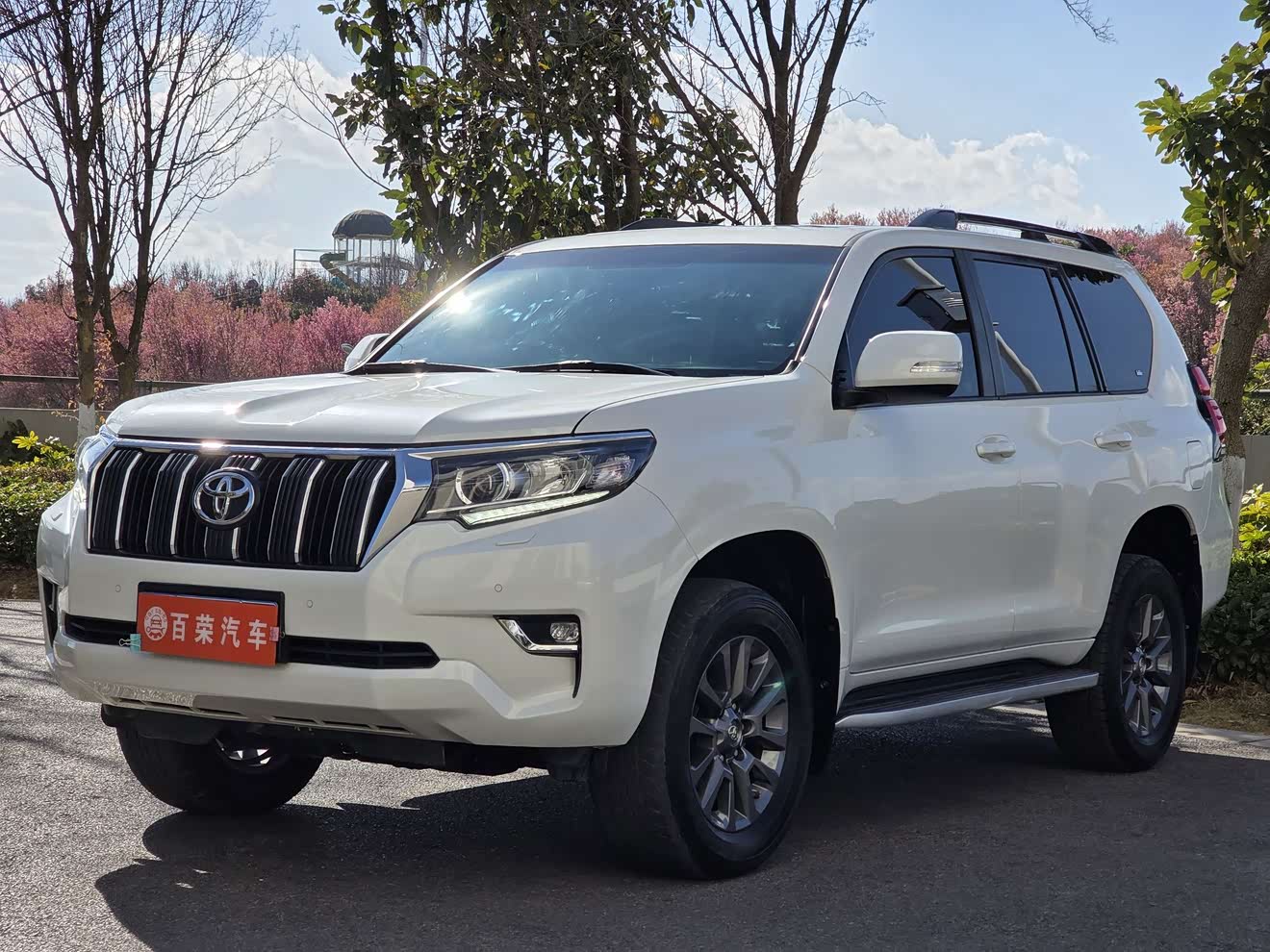 Toyota Land Cruiser Prado 2019 Toyota Land Cruiser Prado 2019 汽车图片
