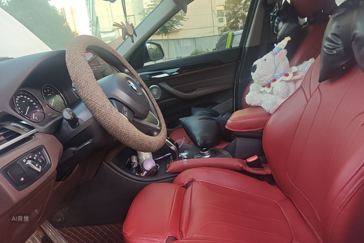 BMW X1 2021 car image #17