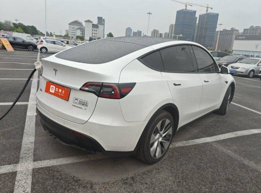 Tesla Model Y 2021 #4 Tesla Model Y 2021 car image #4