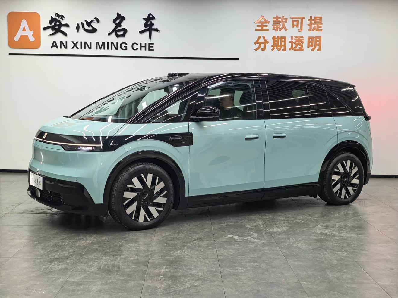 Zeekr MIX 2024 汽车图片 