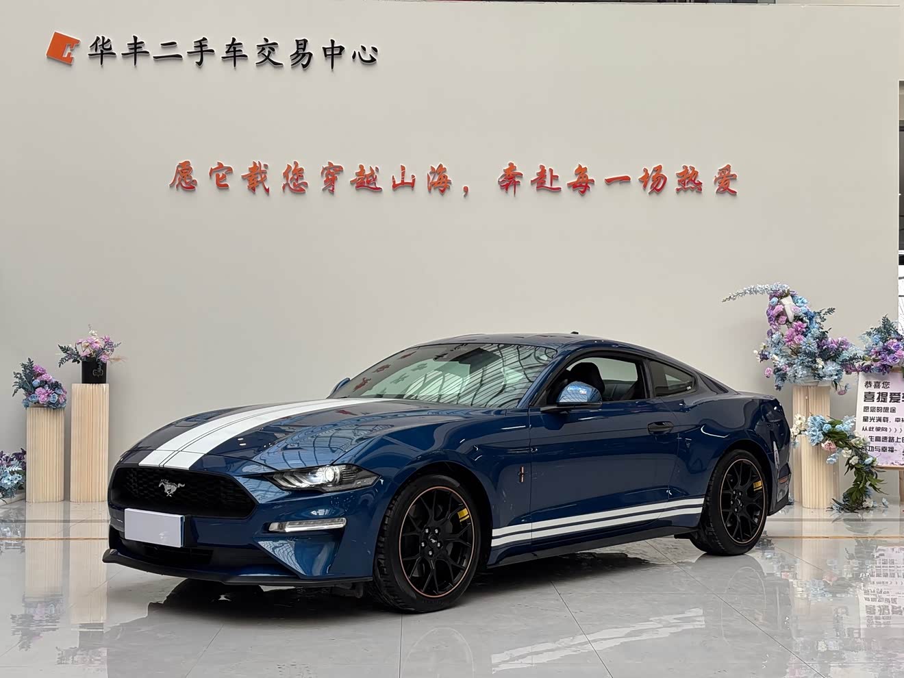 Ford Mustang 2023 car image 
