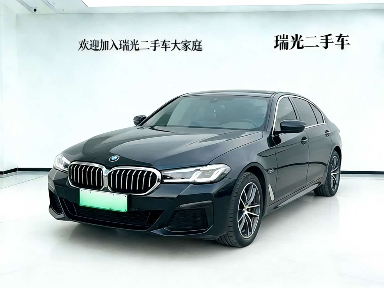 BMW 5 Series New Energy 2021 car image 