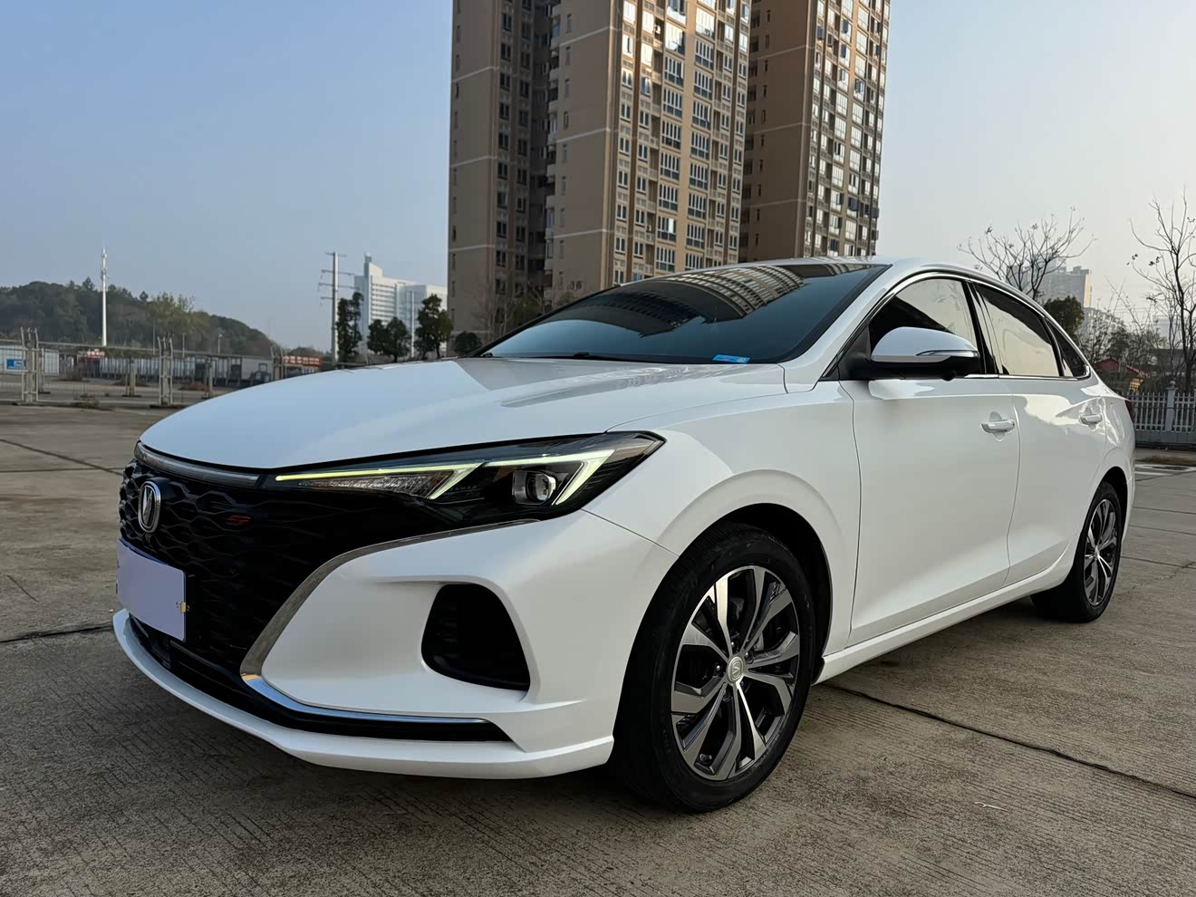 Changan Eado 2021 car image 