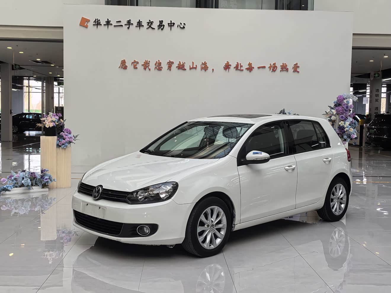 Volkswagen Golf 2014 Volkswagen Golf 2014 car image
