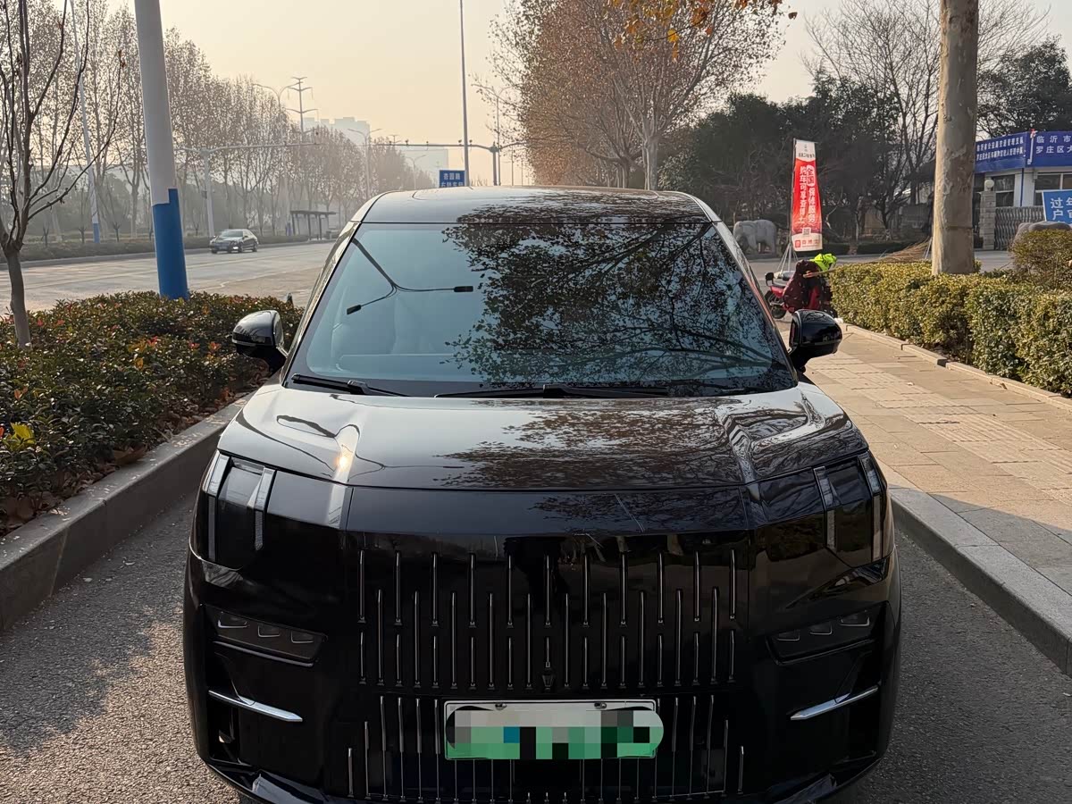 Zeekr 009 2023 汽车图片 