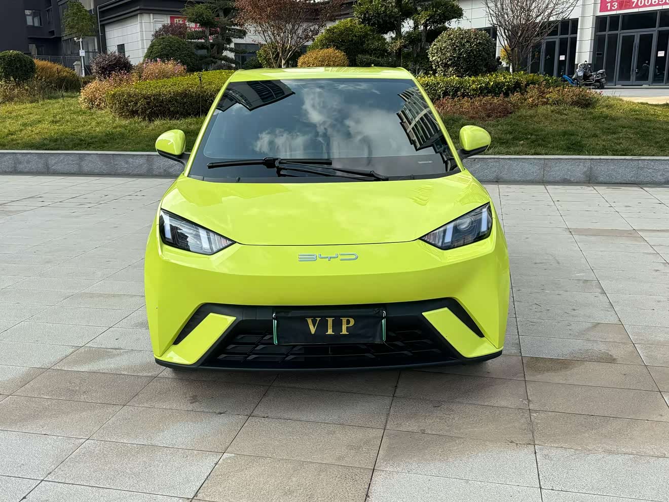 BYD 2024 car image 