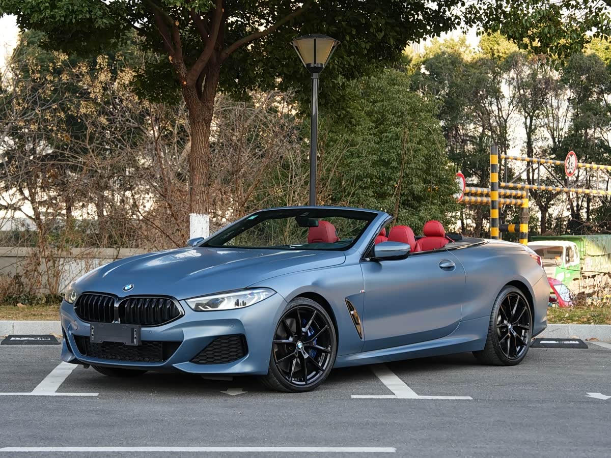 BMW 8 Series 2019 car image 