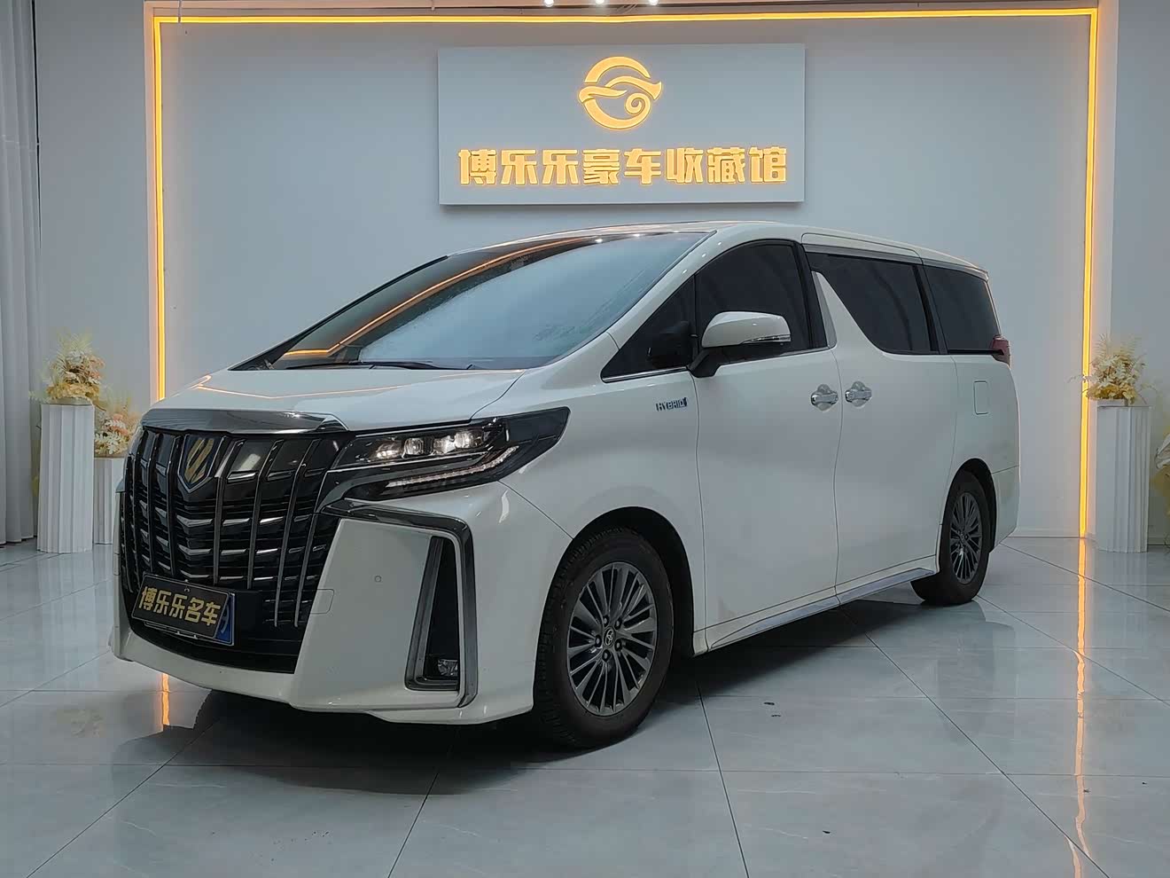 Toyota Alphard 2023 汽车图片 