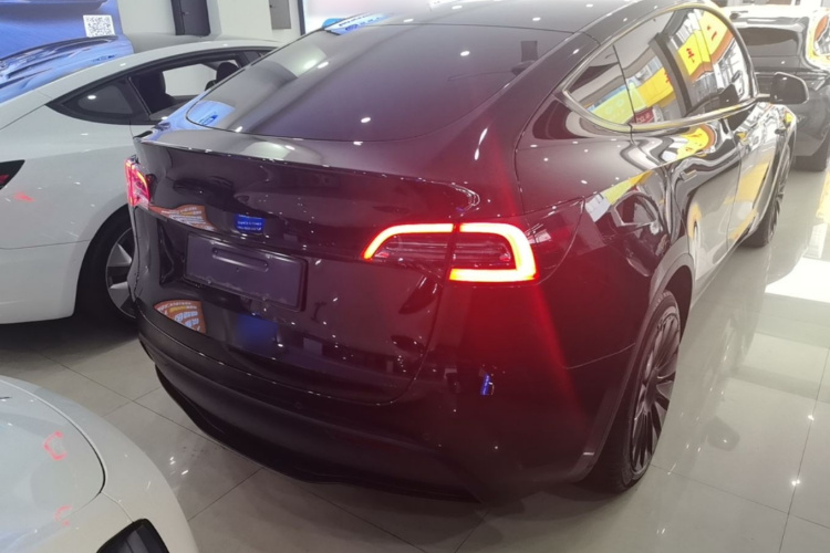 Tesla Model Y 2023 #7 Tesla Model Y 2023 car image #7