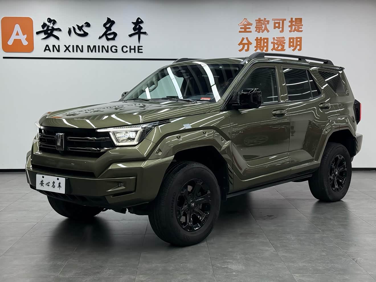 Tank 400 New Energy 2024 Tank 400 New Energy 2024 car image